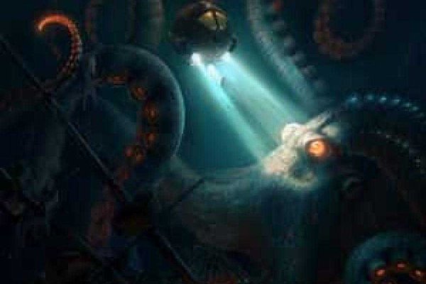 Kraken kraken link24 info